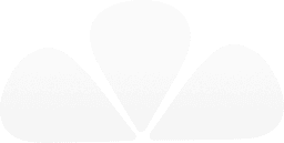 Light Petal