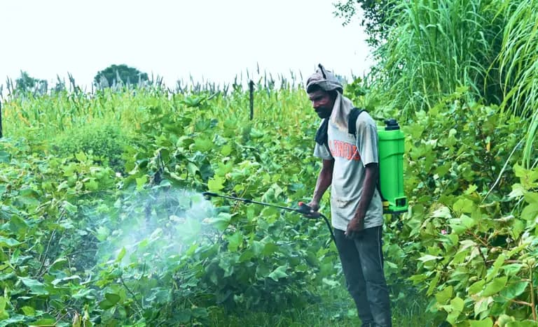 Agriculture-Based Livelihood Empowerment (ABLE)