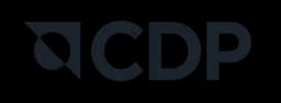 CDP.avif